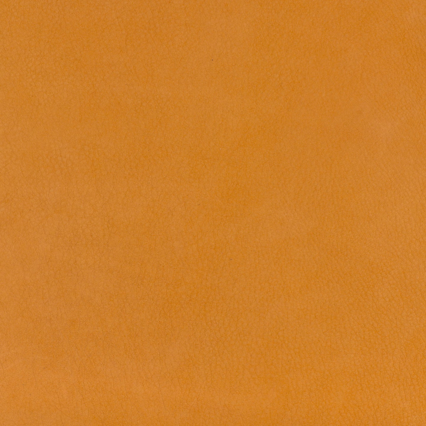 FIORILE PLISSÉ BC - Leather